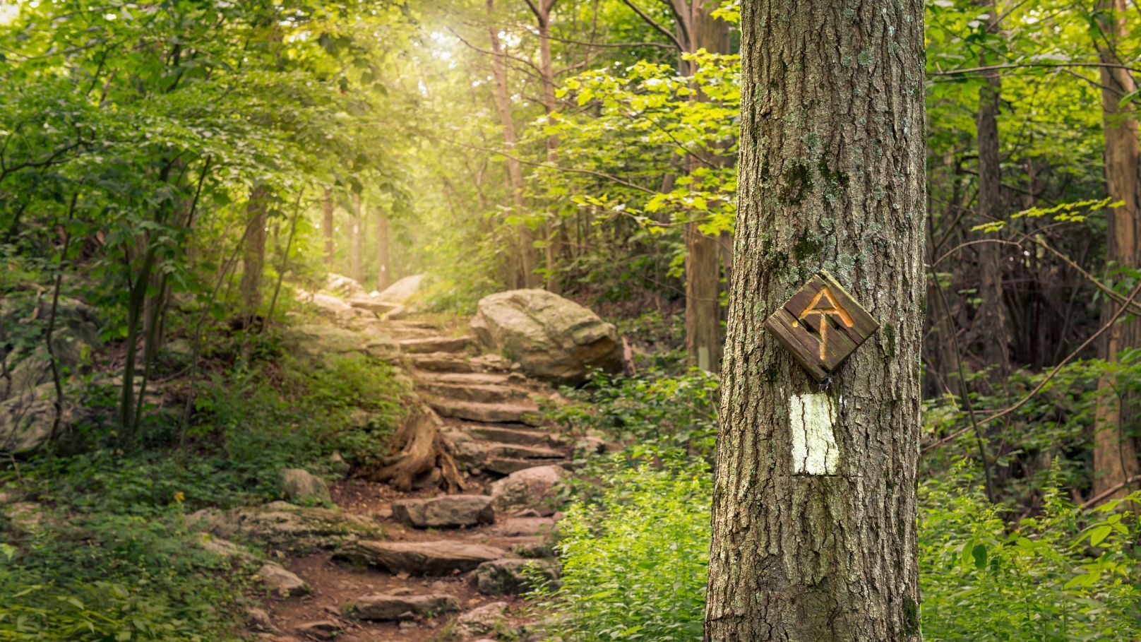 The notable markers of the Appalachian Trail will guide you the entire way up the route. Photo: Getty