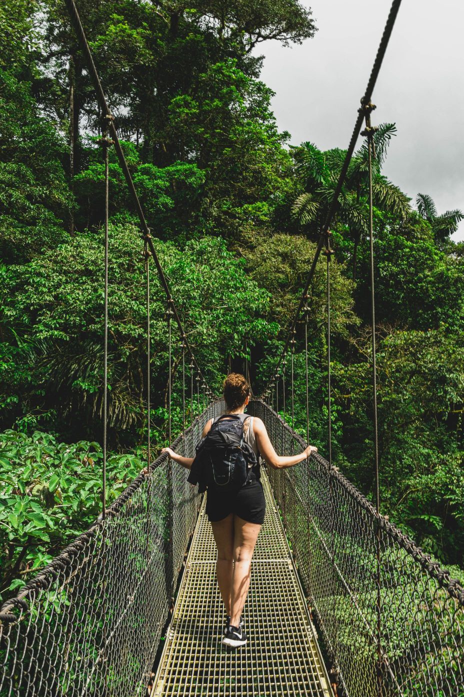 The hanging bridges of Arenal are a popular visit, but for very good reason. Photo: Getty