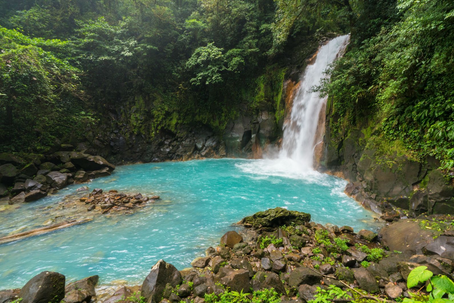 The beautiful blues of the waters in Tenorio make this one of the best hikes in Costa Rica. Photo: Getty