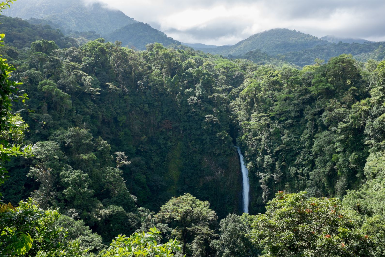 The mighty Monteverde Cloud Forest, though expect it to be a lot more cloudier than this! Photo: Getty