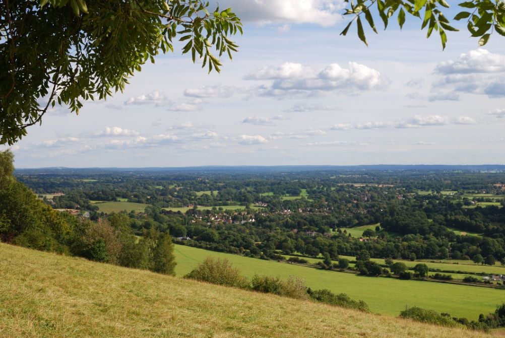 The view over the Surrey countryside from Box Hill. Photo: Getty