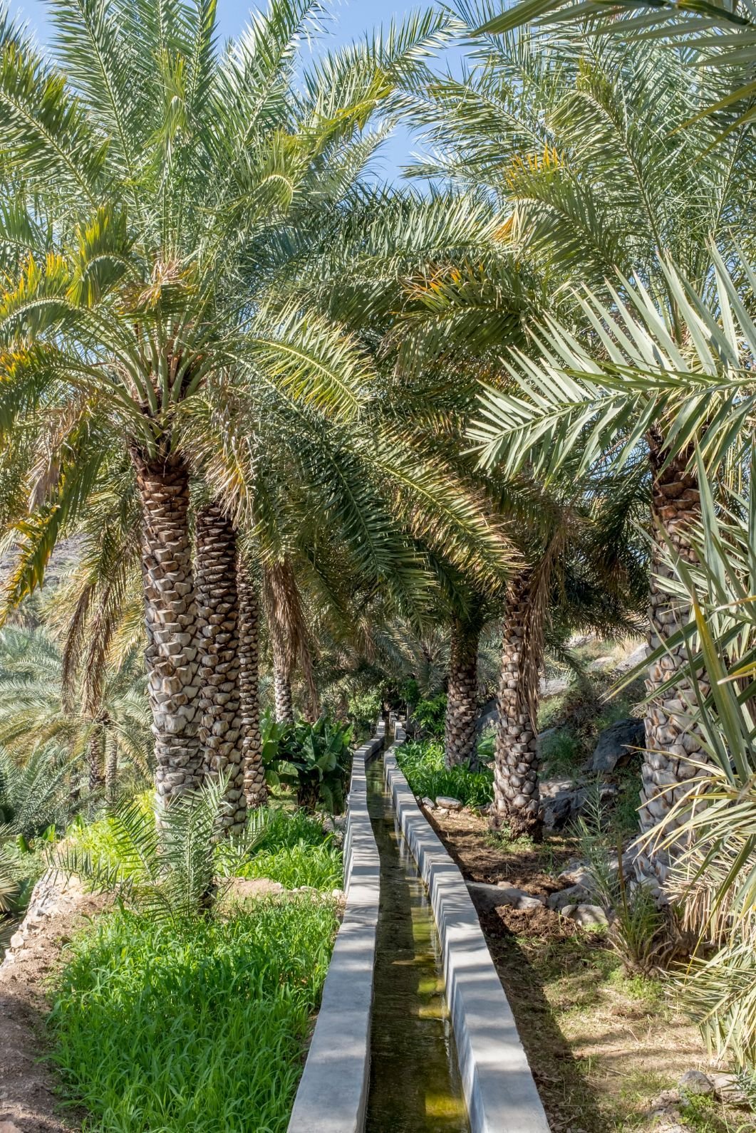 The UNESCO-protected falaj water system in Misfat Al Abriyeen