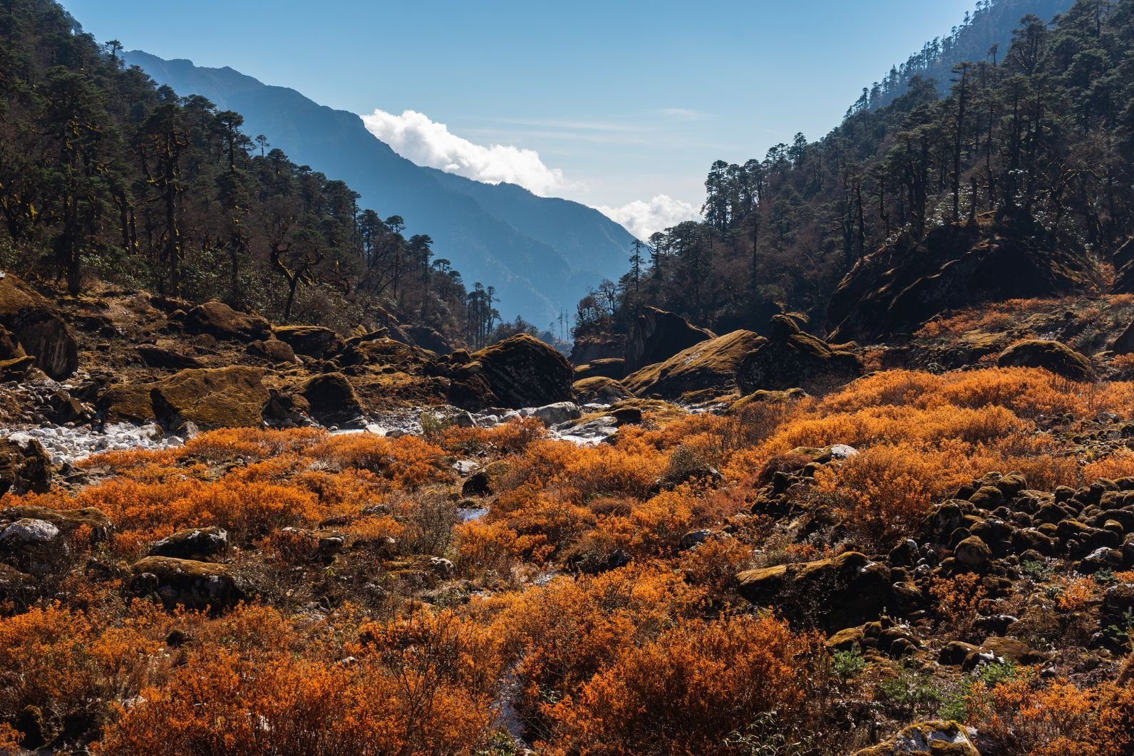 The landscapes on the way to Mera Peak are far-reaching, vibrant and serene. Photo: Getty