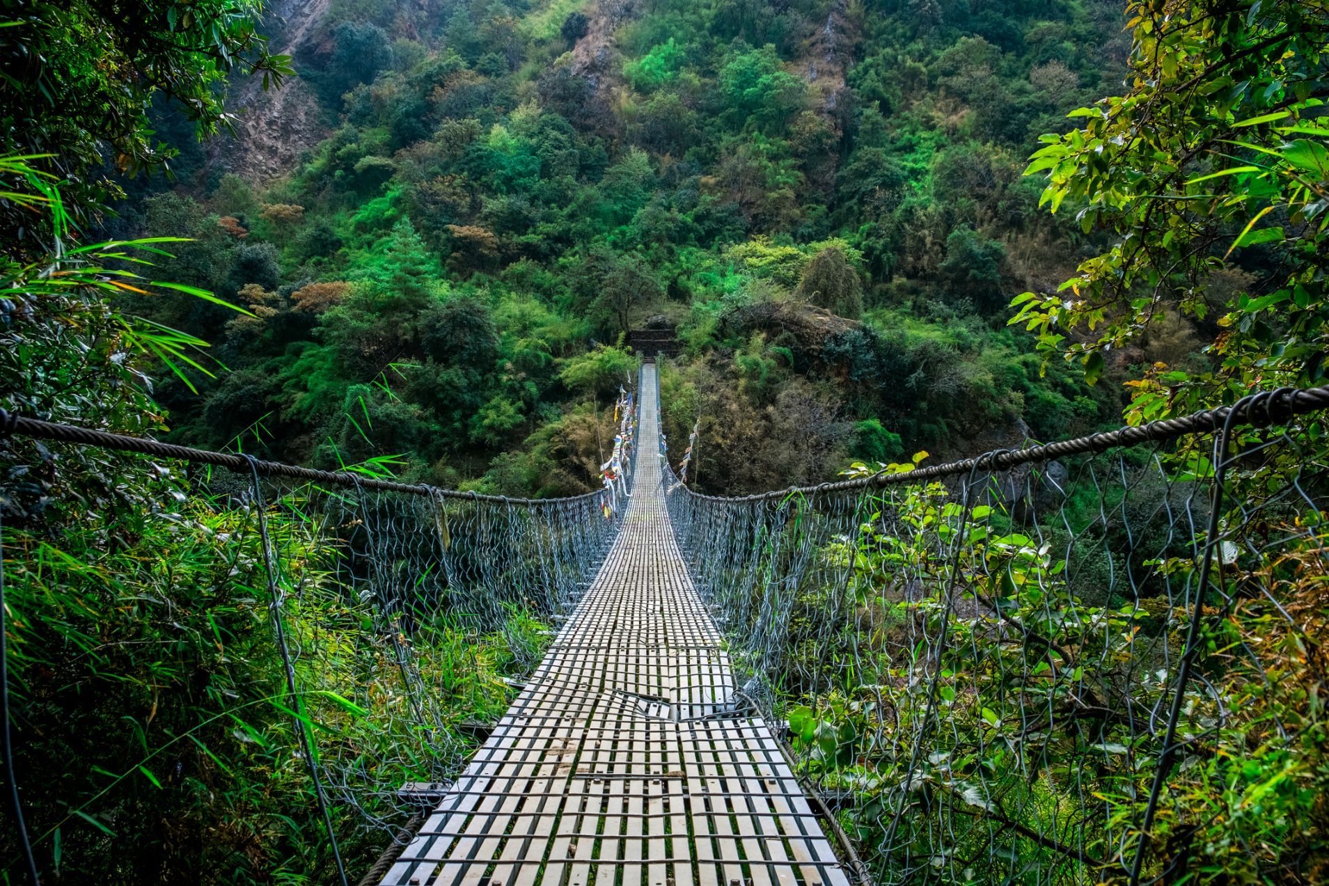 A suspension bridge through the jungle and into the heart of the Langtang National Park in Nepal. 