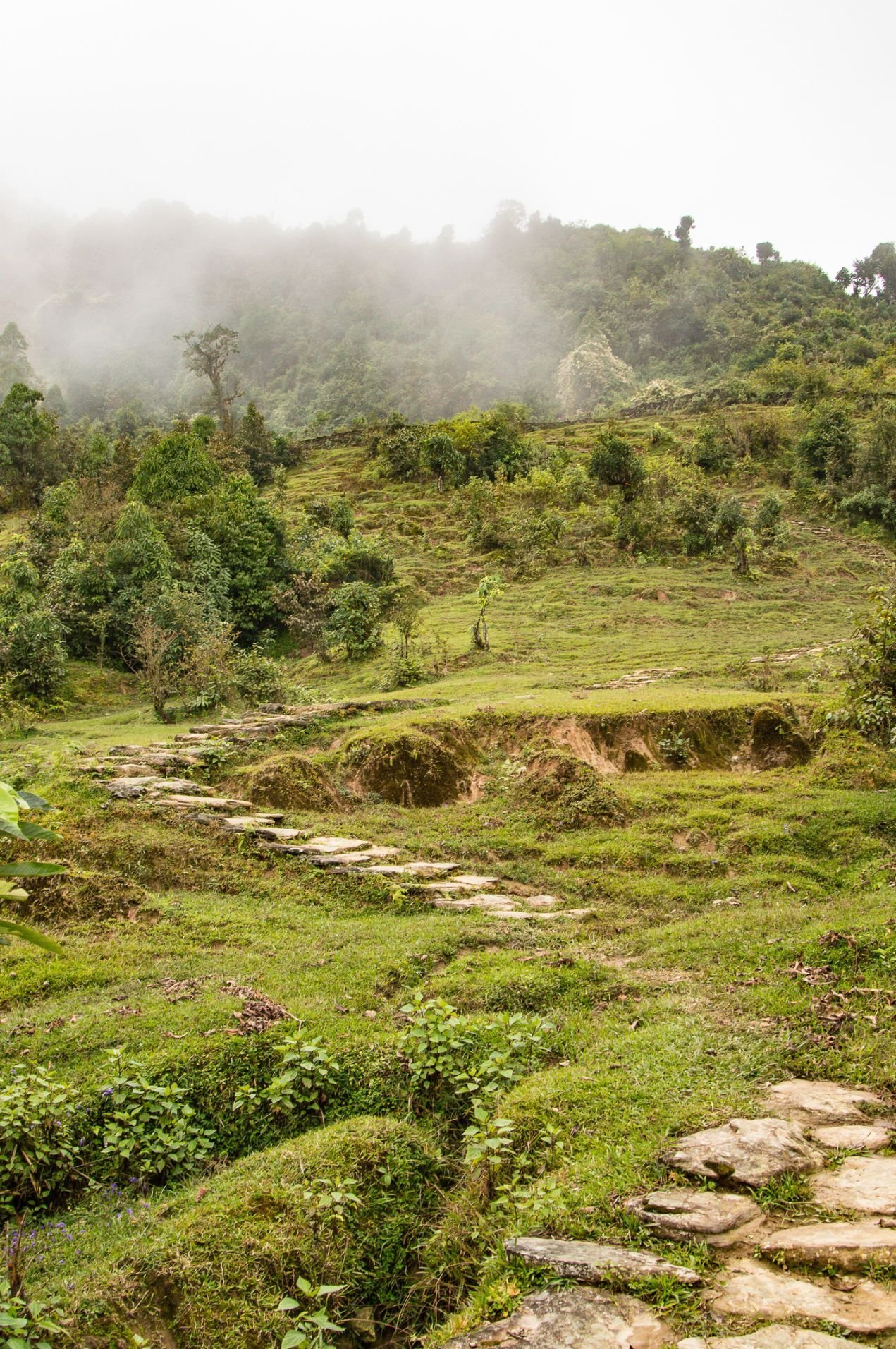 Fog rolls over the beautiful stone trail on the Panchase trek, Pokhara