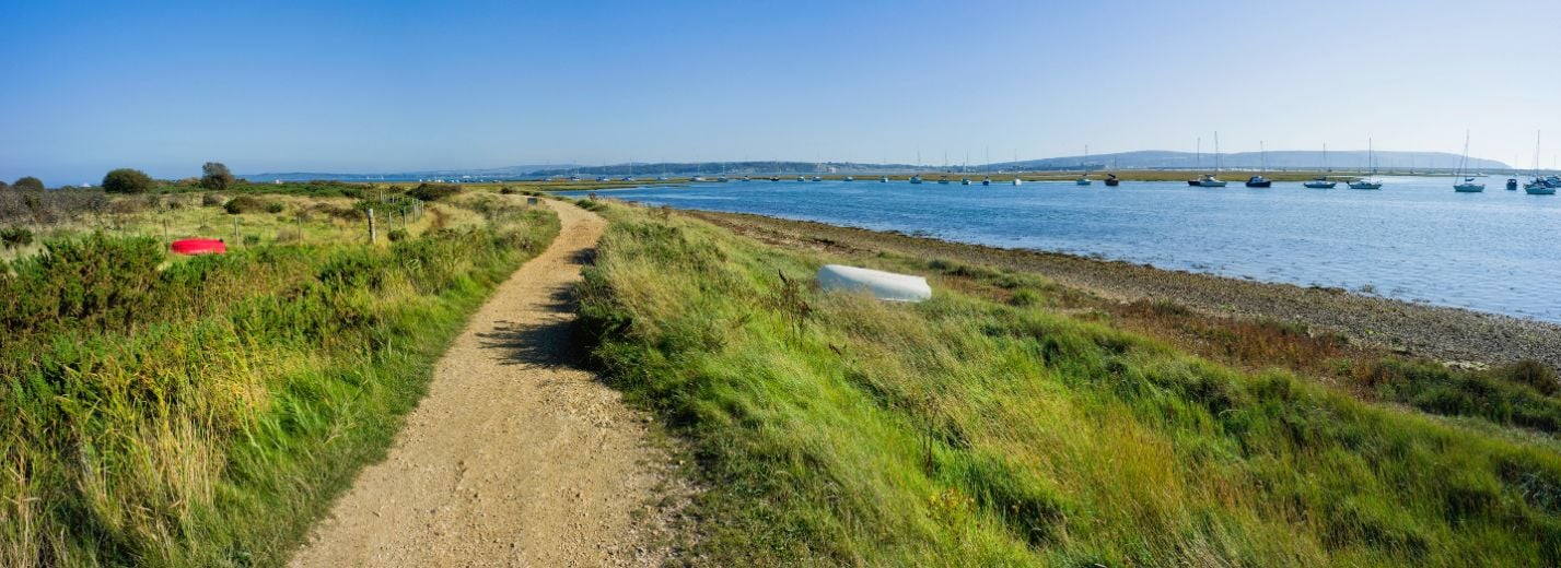 A path through the marshland along the Hampshire coast. Photo: Getty