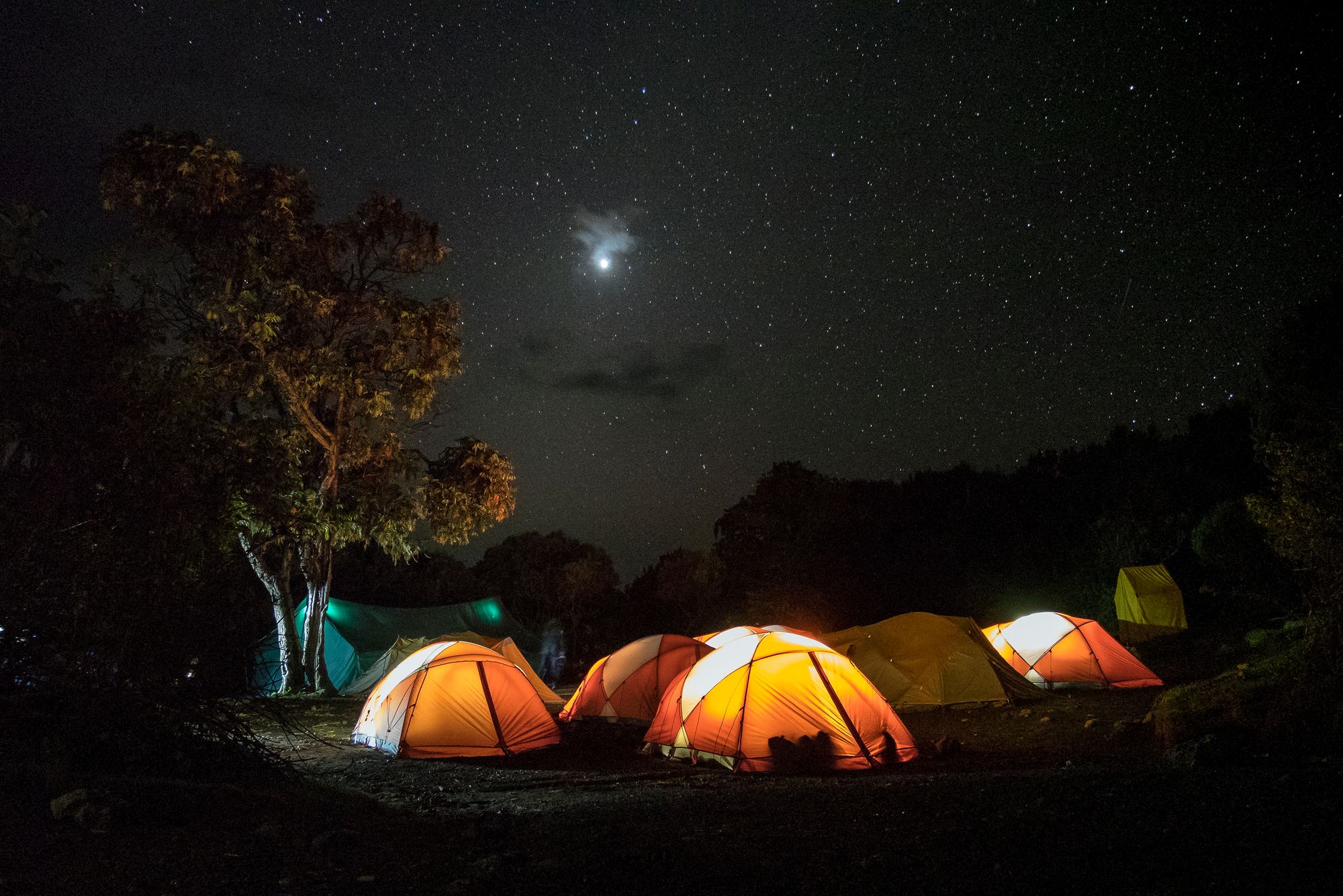 Tents for Kilimanjaro hikers on the Marangu route