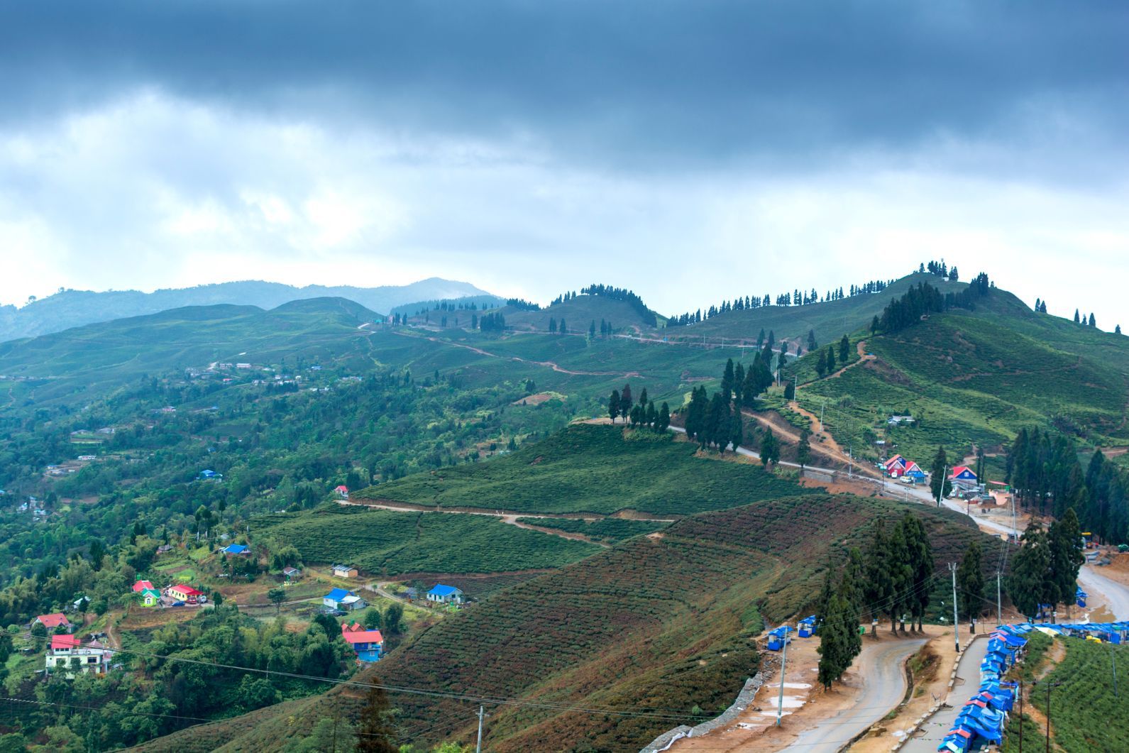 The beautiful tea Garden of Kanyam in Ilam, Nepal, amongst lush rolling hills. Photo: Getty