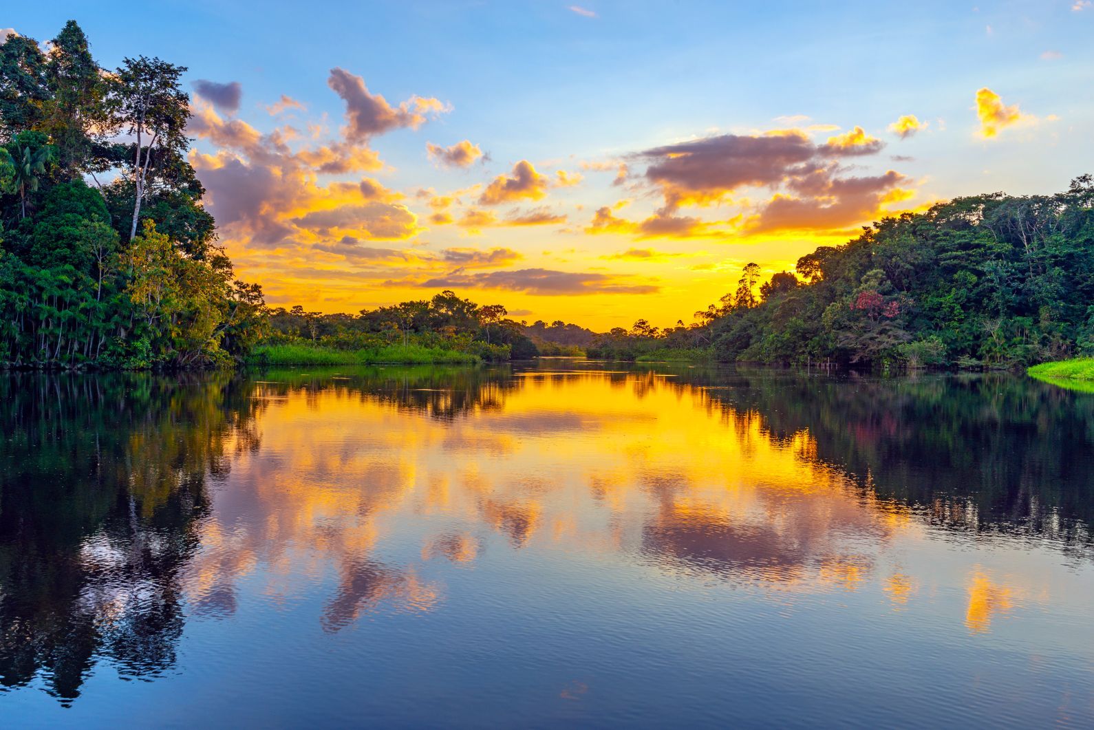 A view of a lake at sunset in the Yasuni National Park, the Ecuadorian Amazon.