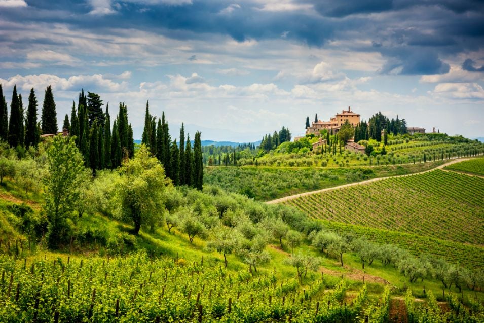 Classic Chianti hills and vineyards.