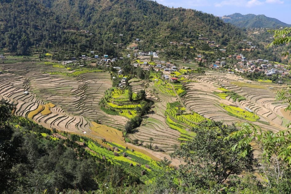 Rice terraces in Balthali, Nepal