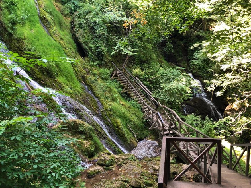 A wooden walkway in Papuk Nature Park, Croatia.