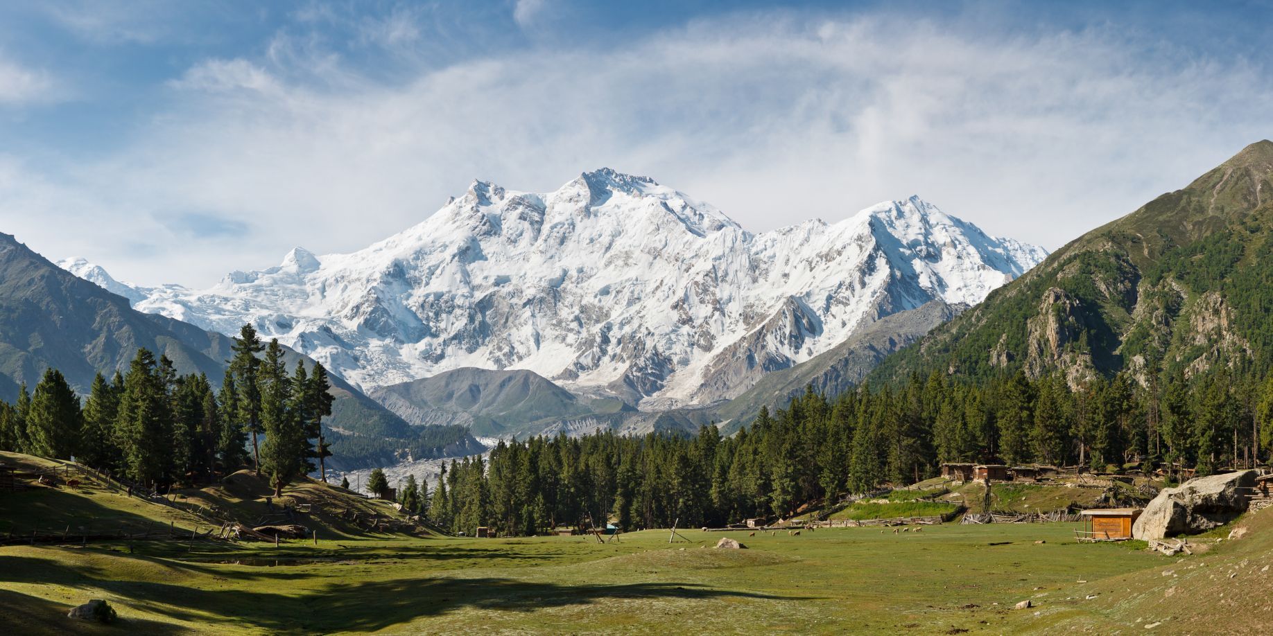 The mighty Nanga Parbat (8,125m) in the Karakoram in Pakistan, forest and meadow in the foreground.