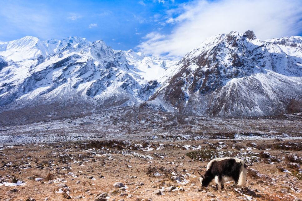 The snowcapped mountains in Langtang National Park