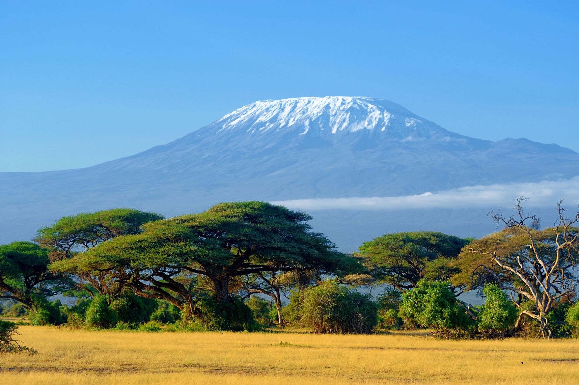 The snowcapped plateau of Mount Kilimanjaro, the highest mountain in Africa.