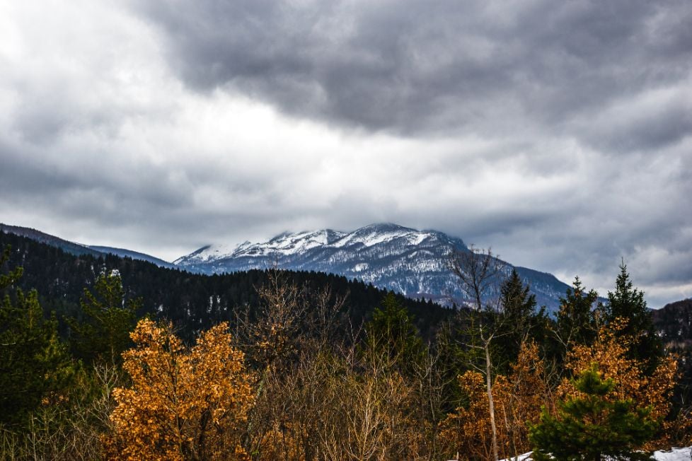 Autumn forest with the snowcapped summit of Bjelašnica in the background, Bosnia & Herzegovina.