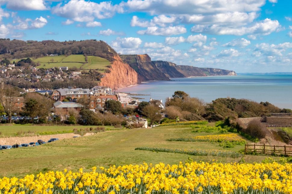 The red cliffs of Sidmouth on the East Devon Coast AONB. Photo: Getty