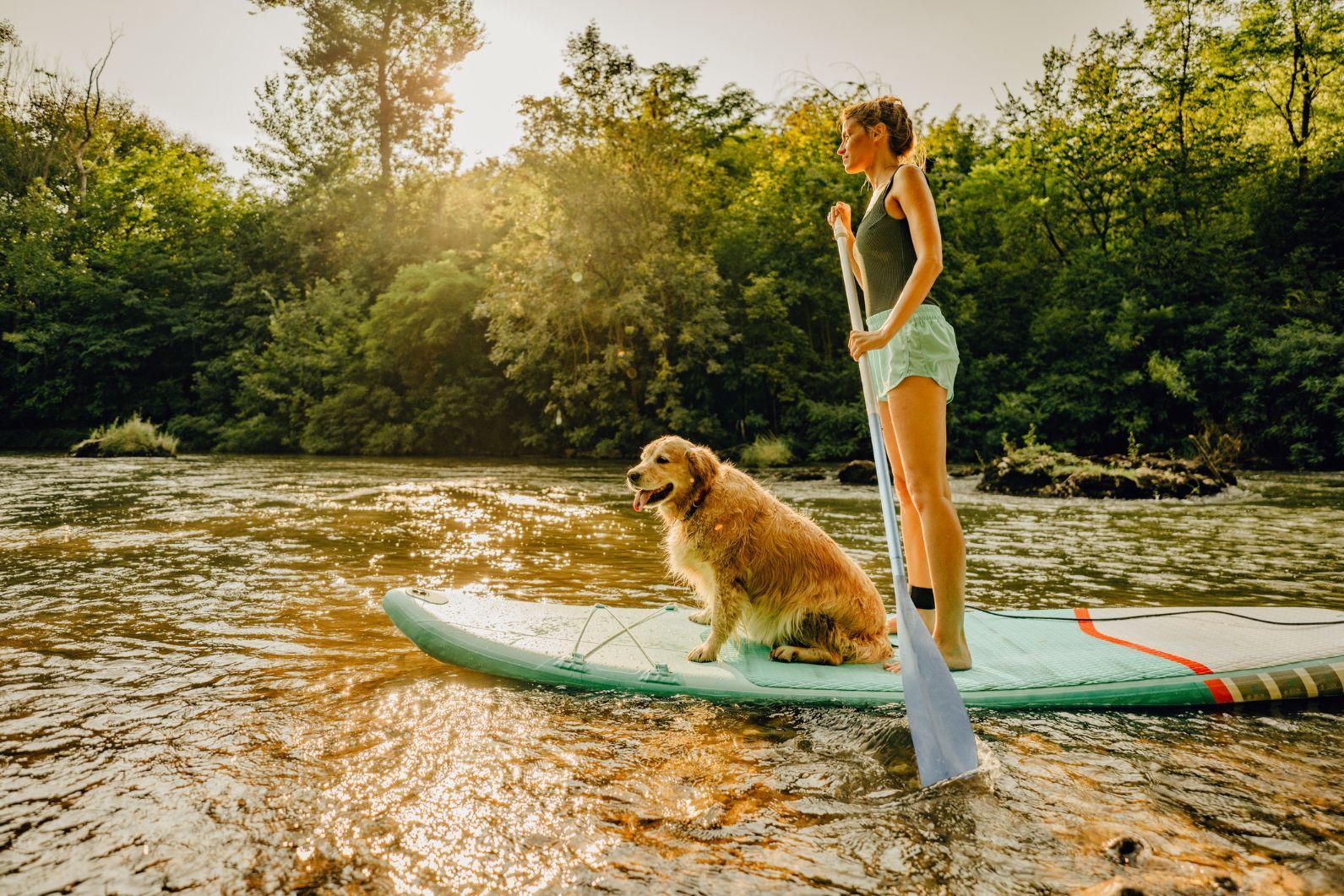 A woman and a dog on a stand-up paddleboard, heading down a river.