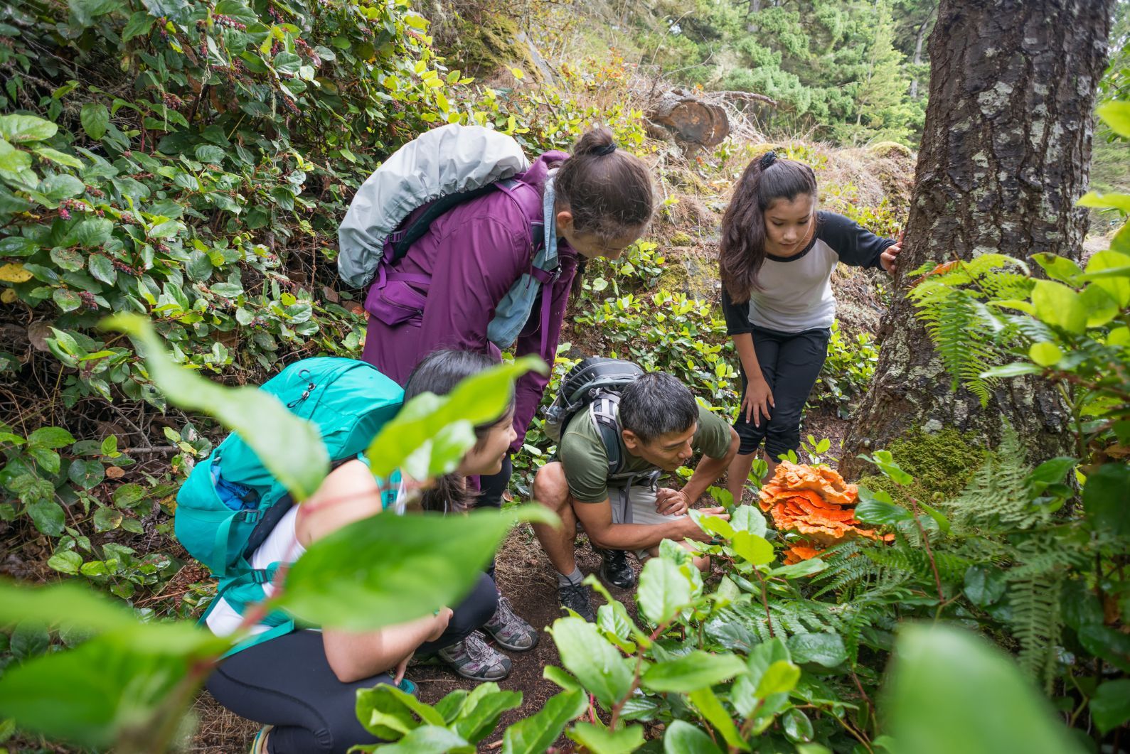 A group of hikers kneeling down, looking at a mushroom in the woods