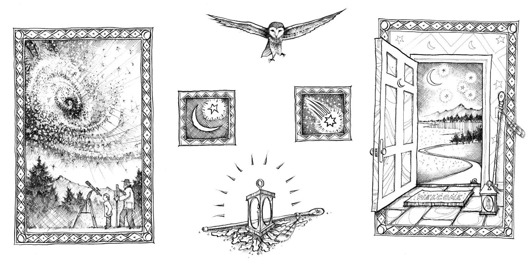 Illustrations for Chris Salisbury's 'Wild Nights Out', a handbook for nocturnal exploration