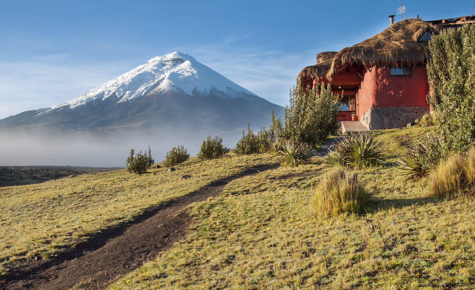 Cotopaxi, Ecuador’s most famous peak.