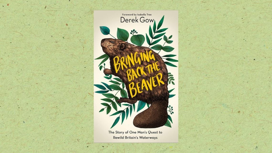 The cover of Bringing Back the Beaver by Derek Gow