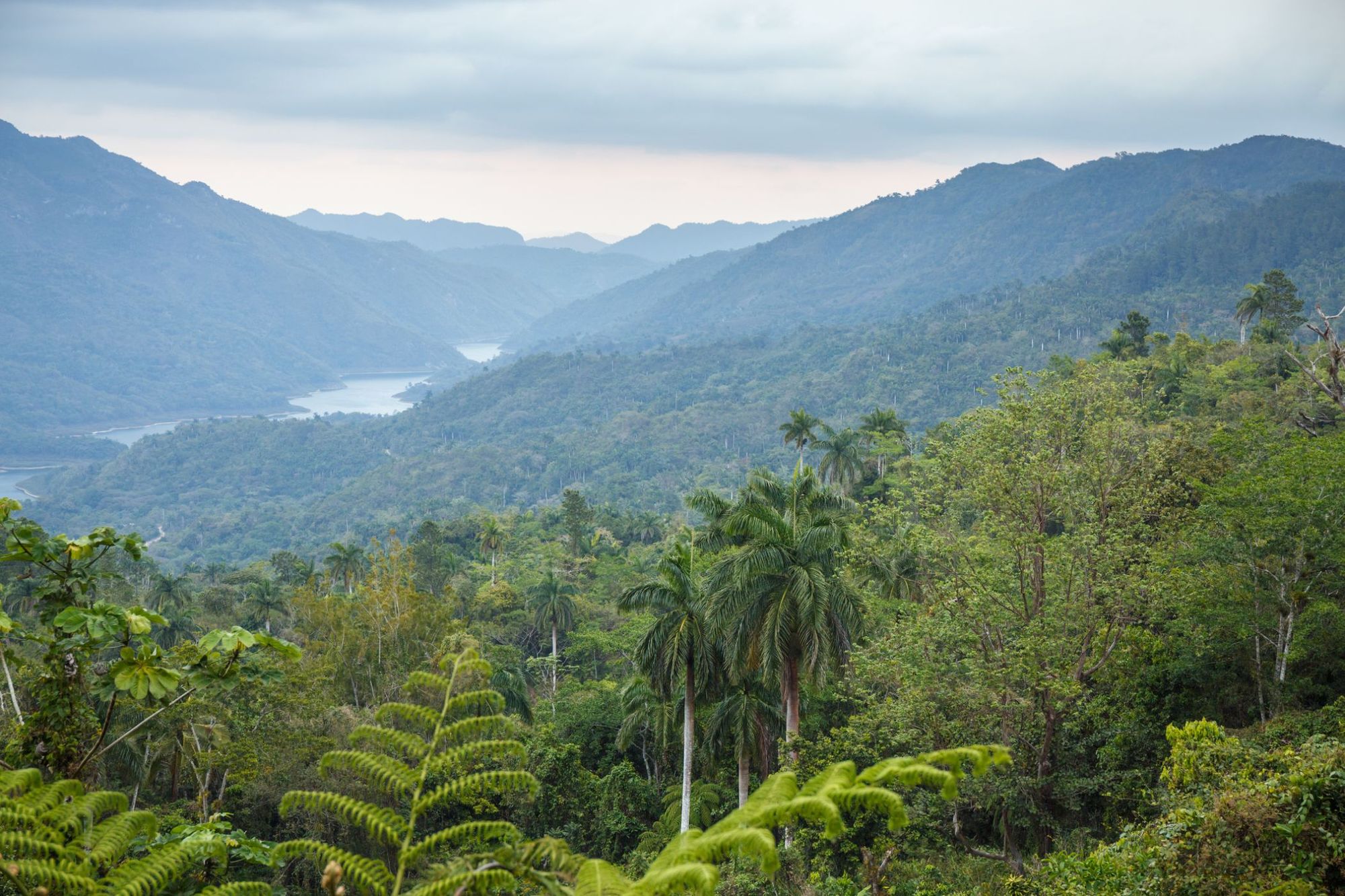 Sierra Maestra is a mountain range that runs westward across the south of the old Oriente Province in southeast Cuba.