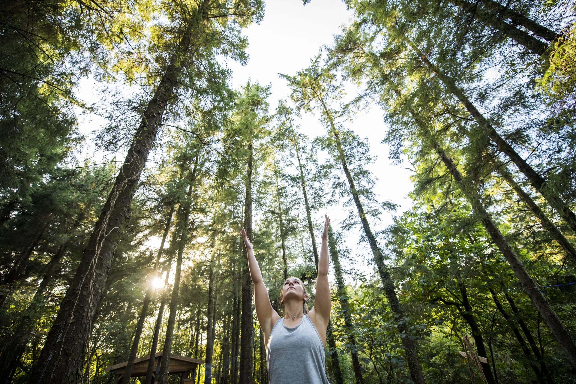 Woman practicing yoga in the forest