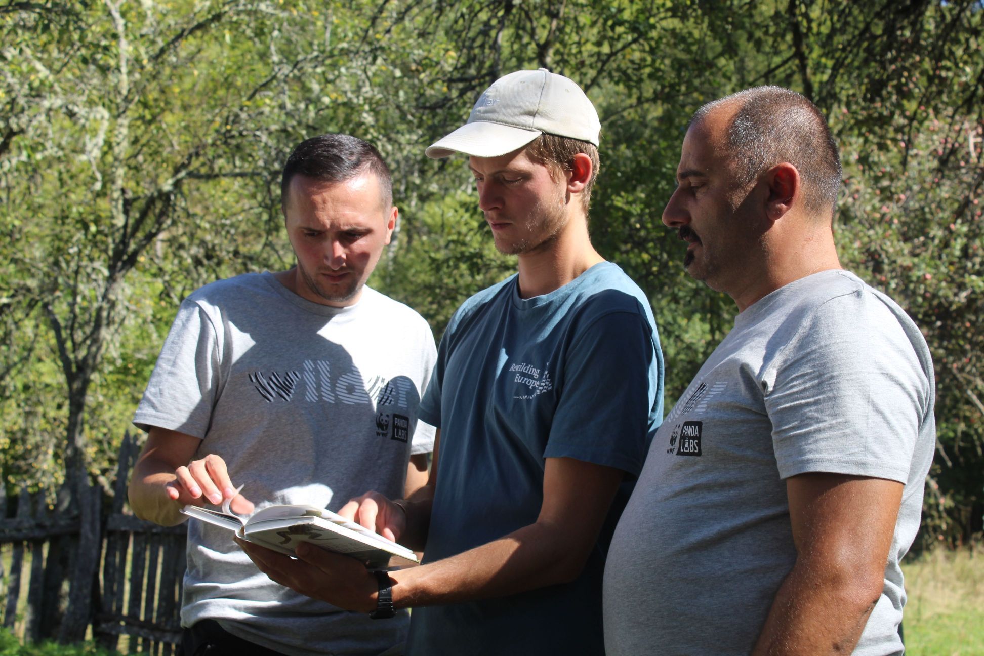Three men look at a nature guidebook in the Tarcu Mountains, Romania.