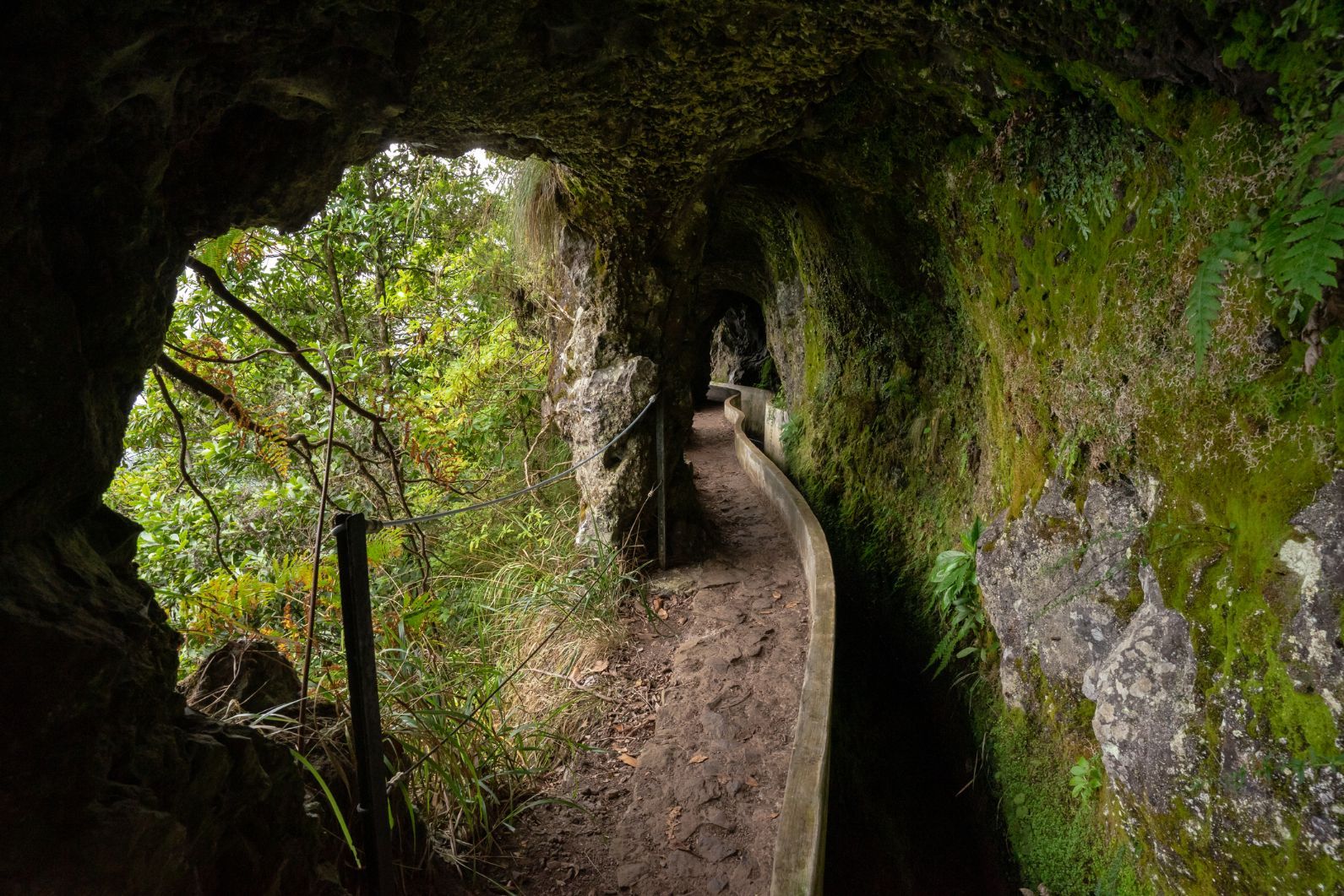 A tunnel along the Levada do Furado route, in Ribeiro Frio, Madeira