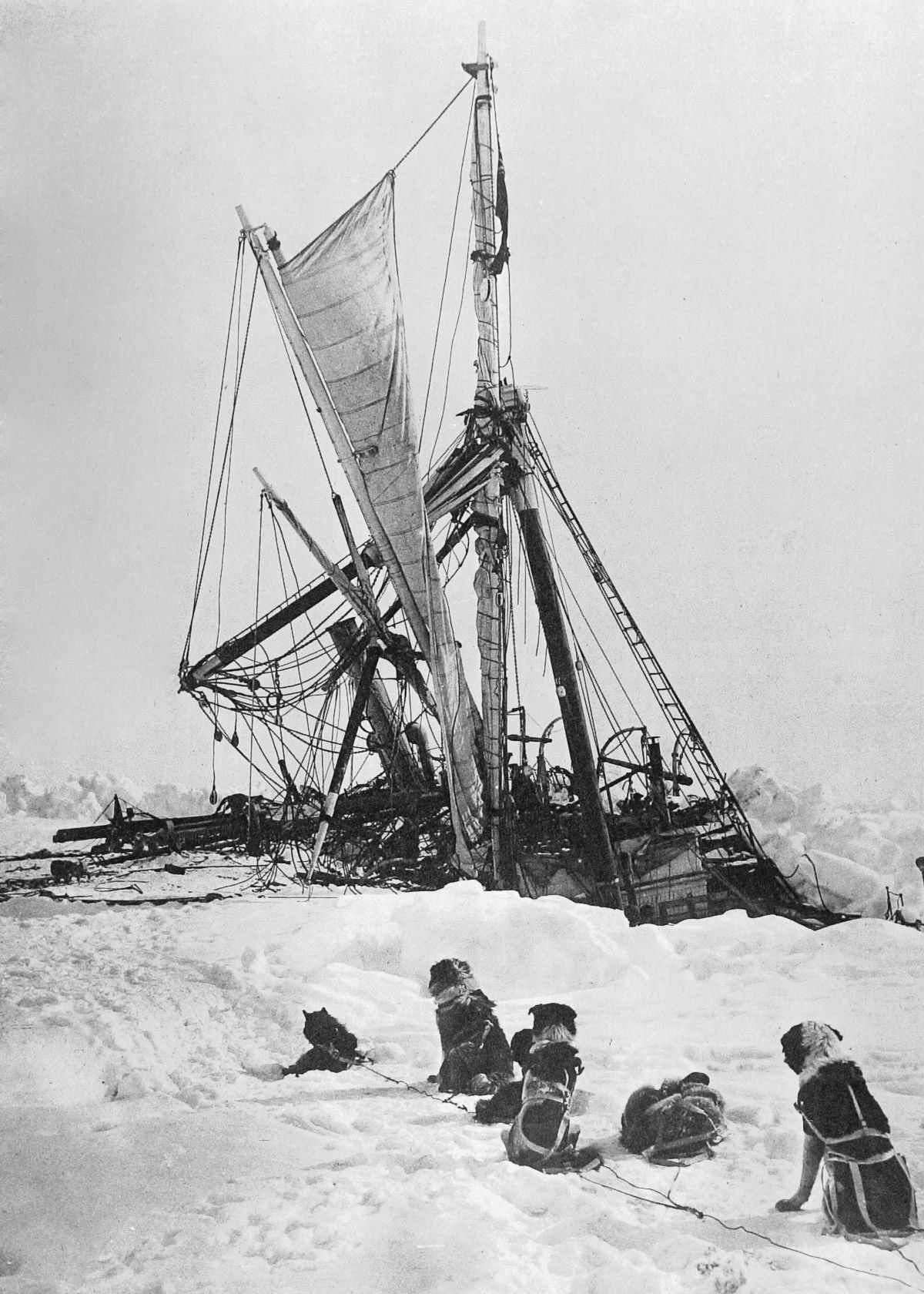 Shackleton's dogs watch the sinking ship. Photo: Frank Hurley / Wiki Commons