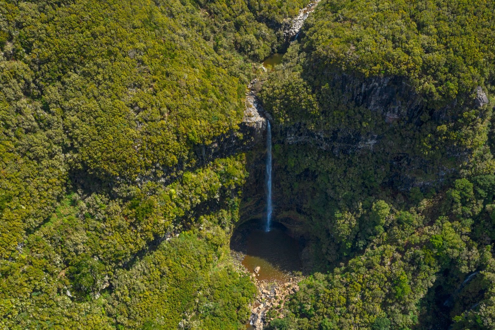 Risco Waterfall, set in the UNESCO protected Laurisilva forest of Madeira