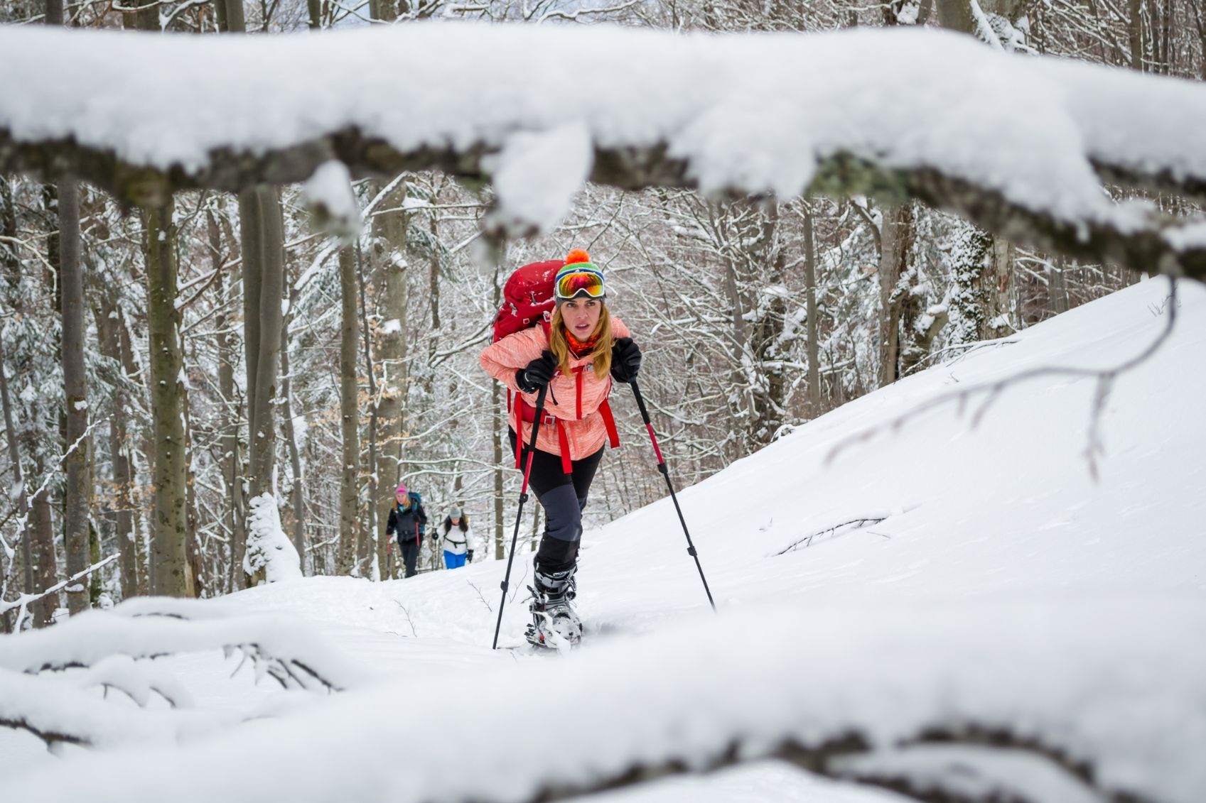 A woman ski touring in the forest.