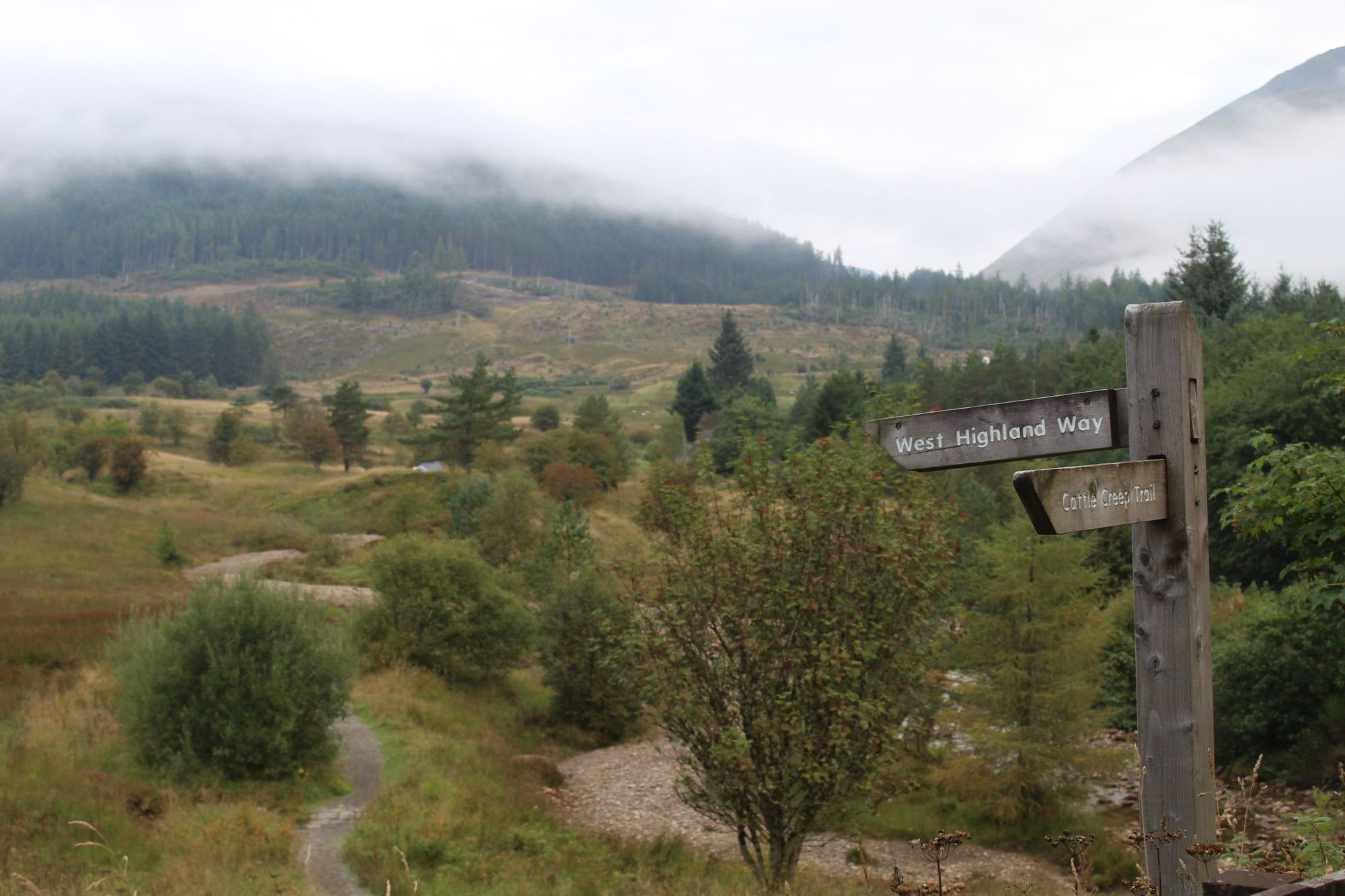A sign for the West Highland Way, with a misty mountain landscape in the background, taken near Tyndrum 