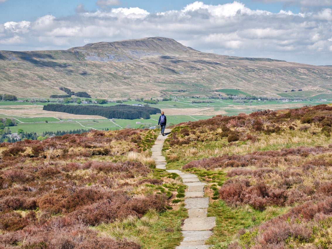 A walker on the path to the summit of Whernside, on the Yorkshire Three Peaks route.