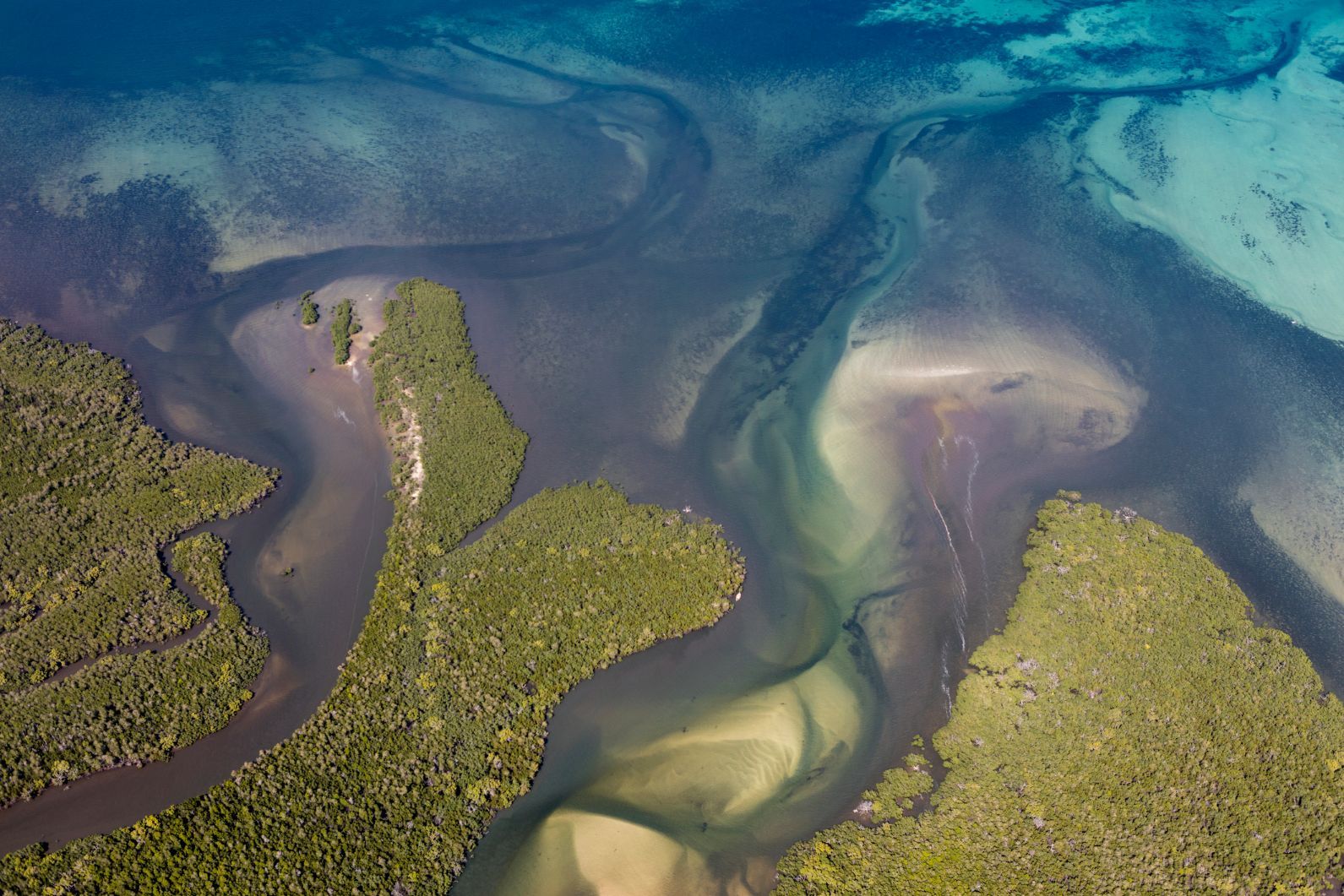 A coastal mangrove forest on an Ibo Island in the Quirimbas Archipelago, Mozambique. Photo: Getty