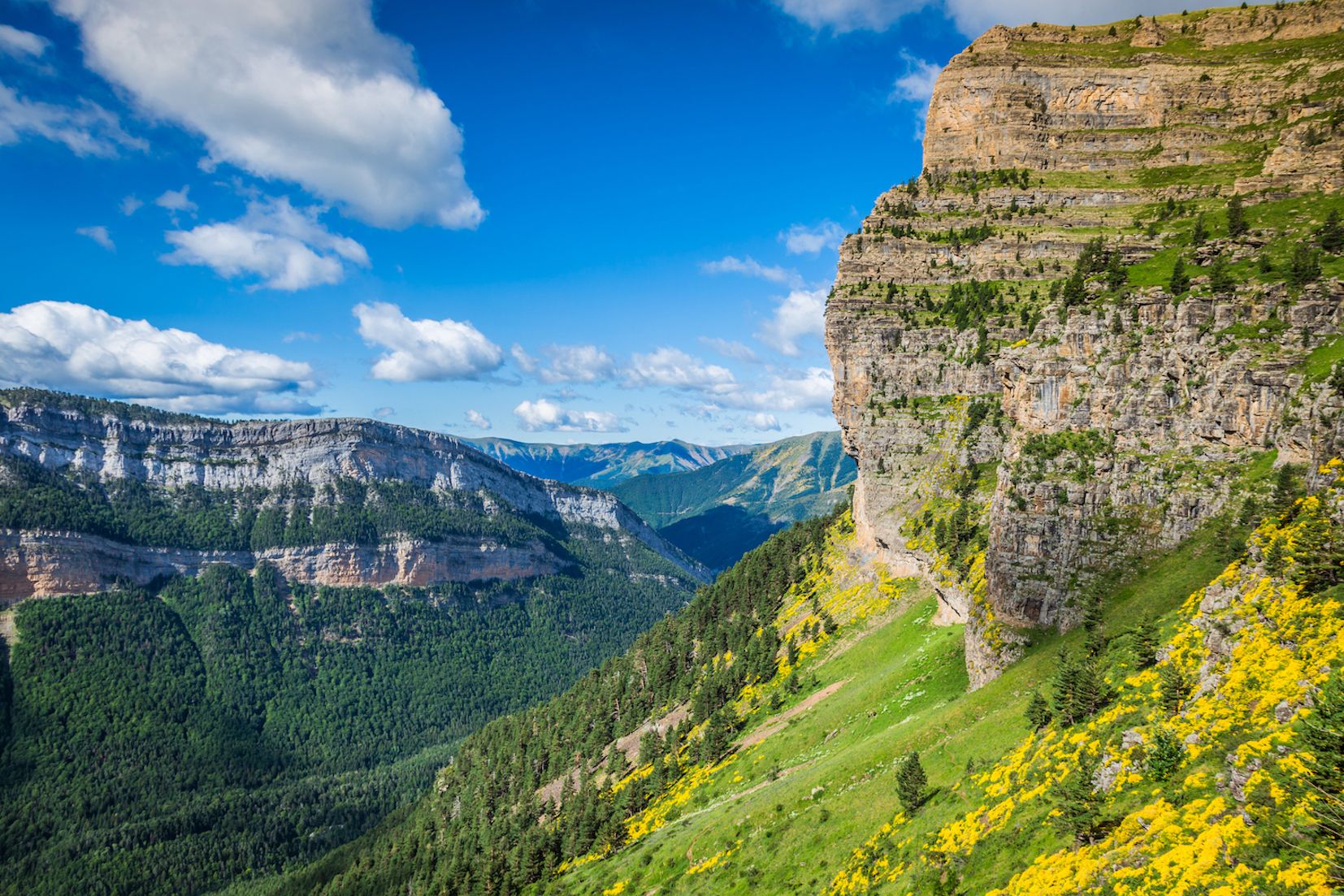 The limestone massifs and forested foothills of Ordesa National Park, in the Pyrenees.