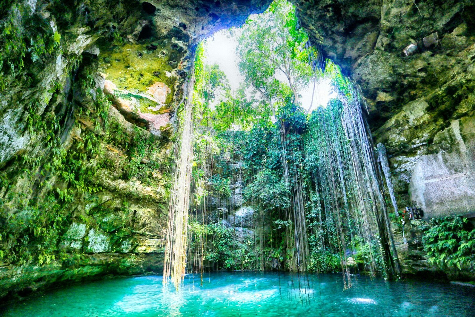 The Secret Underwater World of Mexico's Cenotes