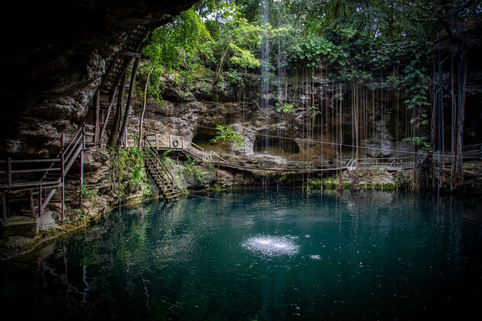 An cenote as a swimming hole, on the Yucatan peninsula