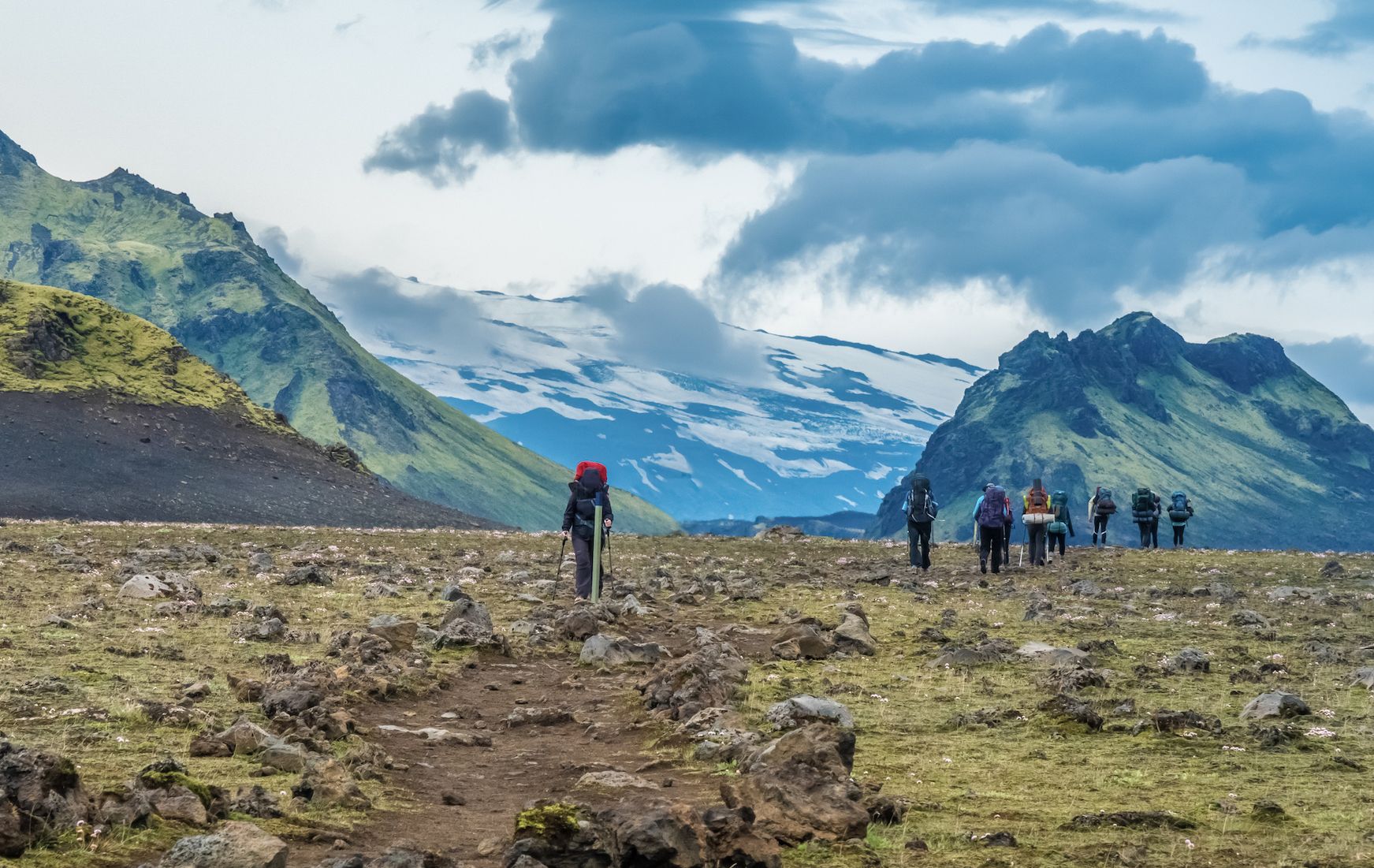 Hvanngil, where grass and wildflowers are encircled by volcanic hills and boulders.
