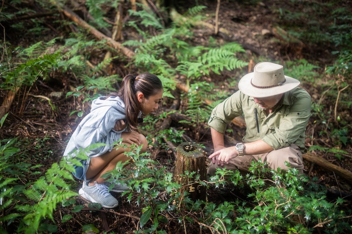 A man showing his daughter wild mushrooms in a forest.