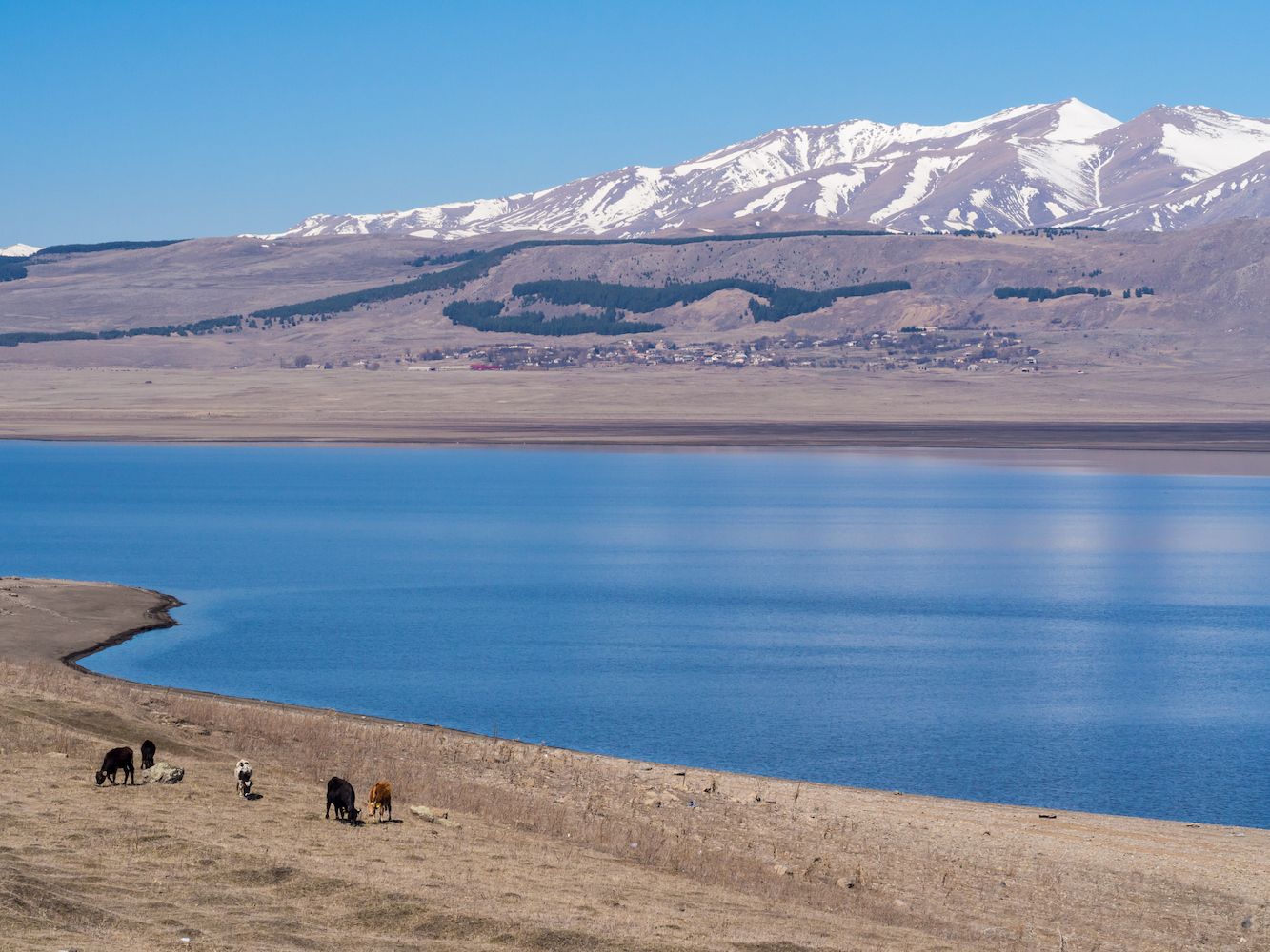 The volcanic Lake Paravani