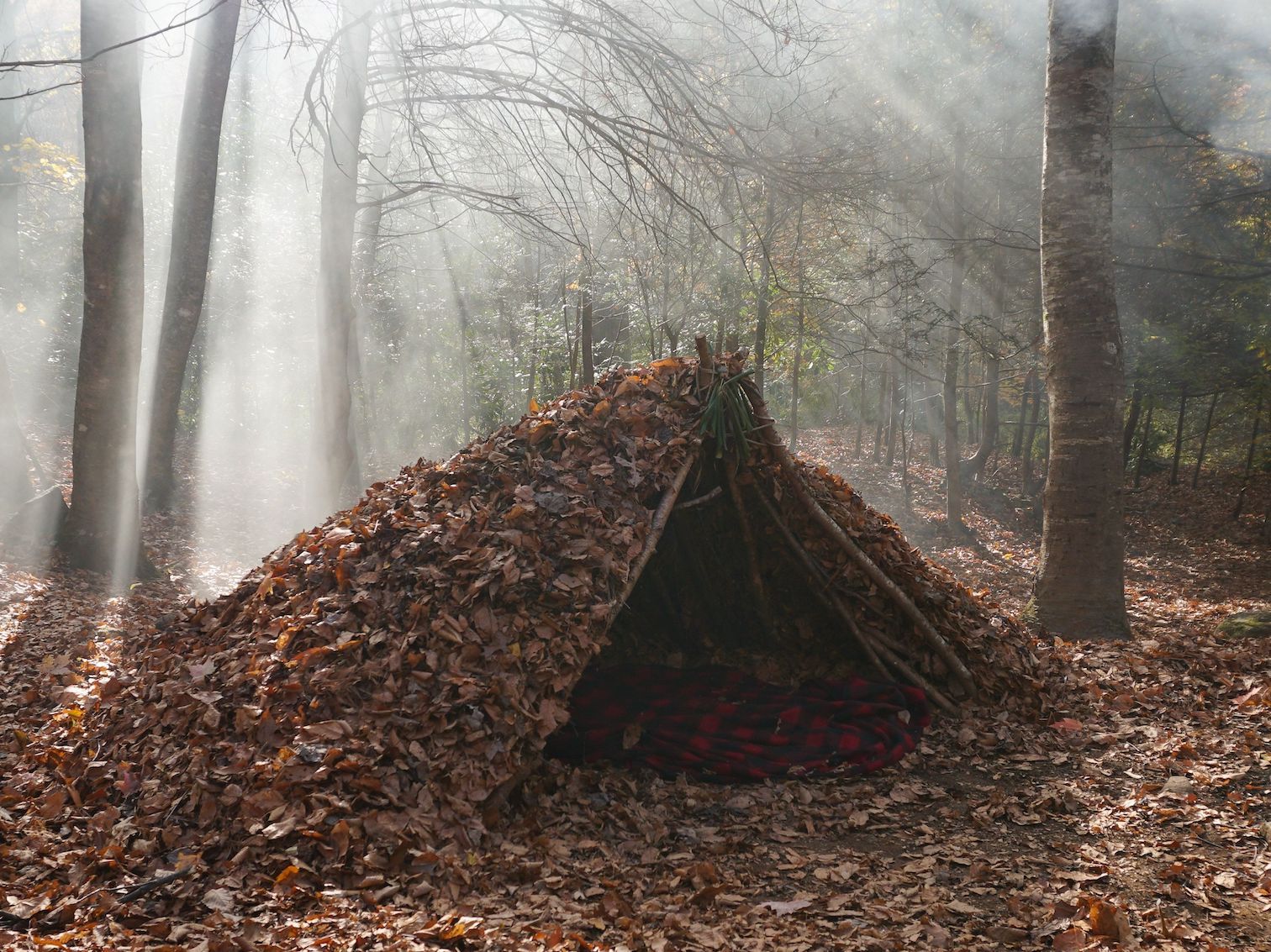 A rustic debris shelter made waterproof with leaf litter.