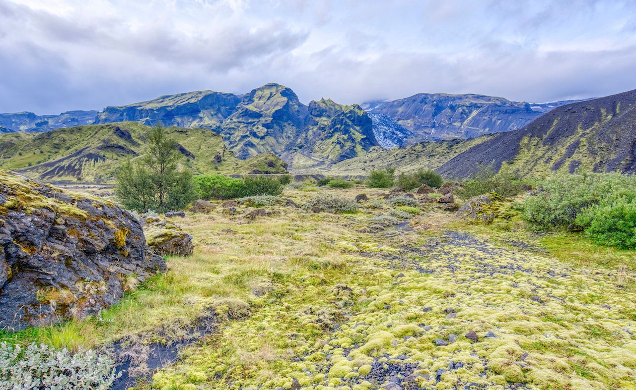 The green landscape of Þórsmörk - a stark contrast to the black desert of Emstrur