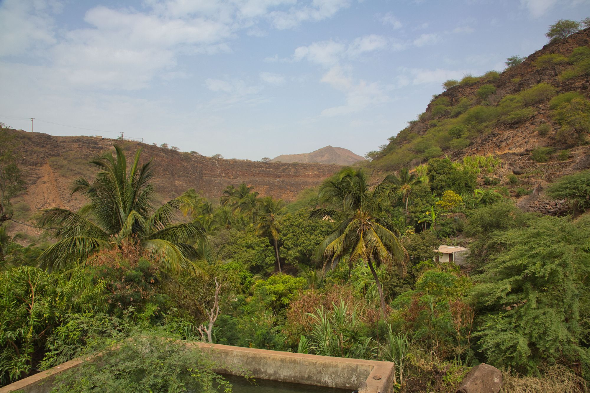 Greenery and palm trees on Santiago in Cape Verde