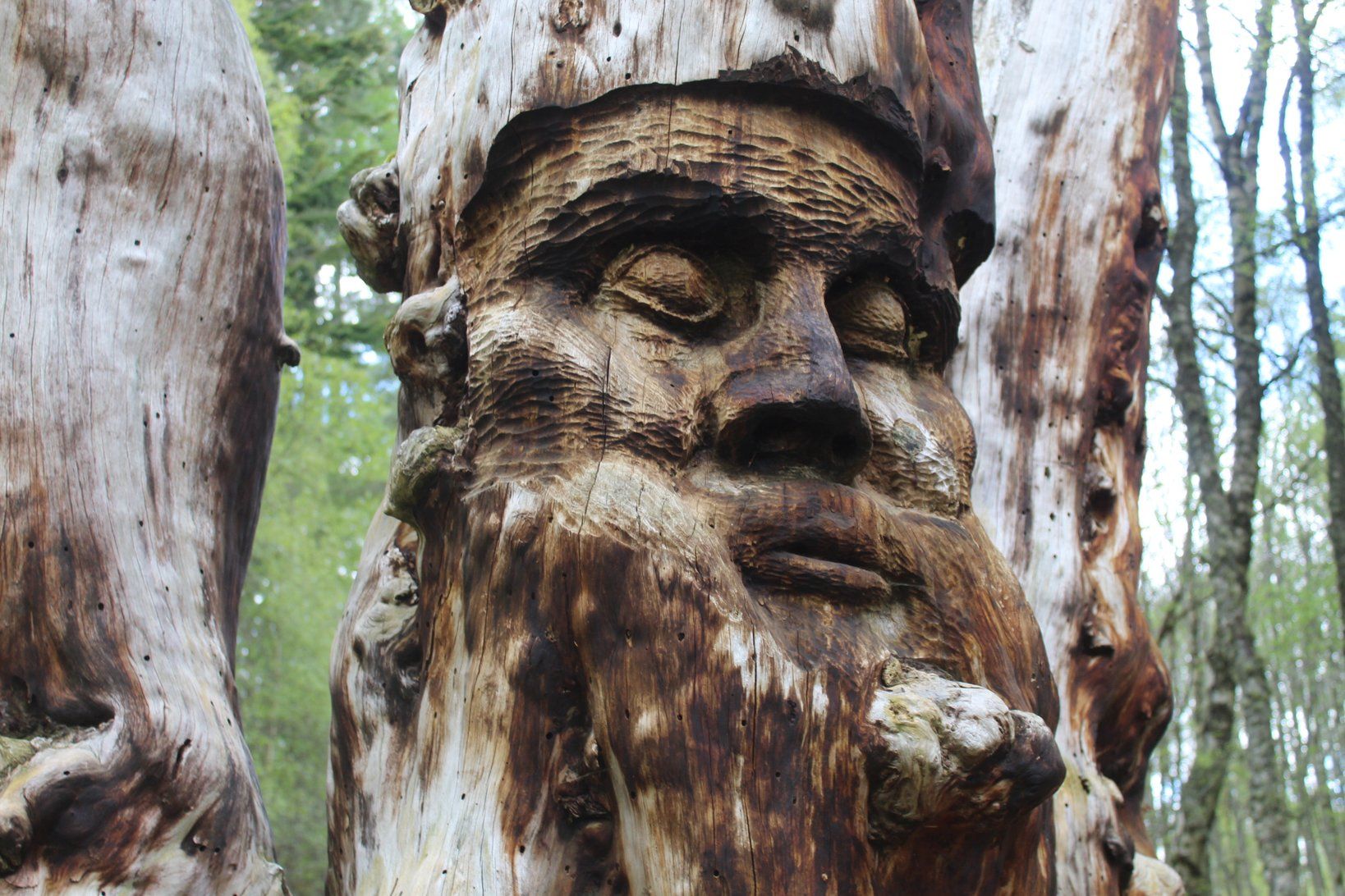 An artwork on the Frank Bruce Sculpture Trail