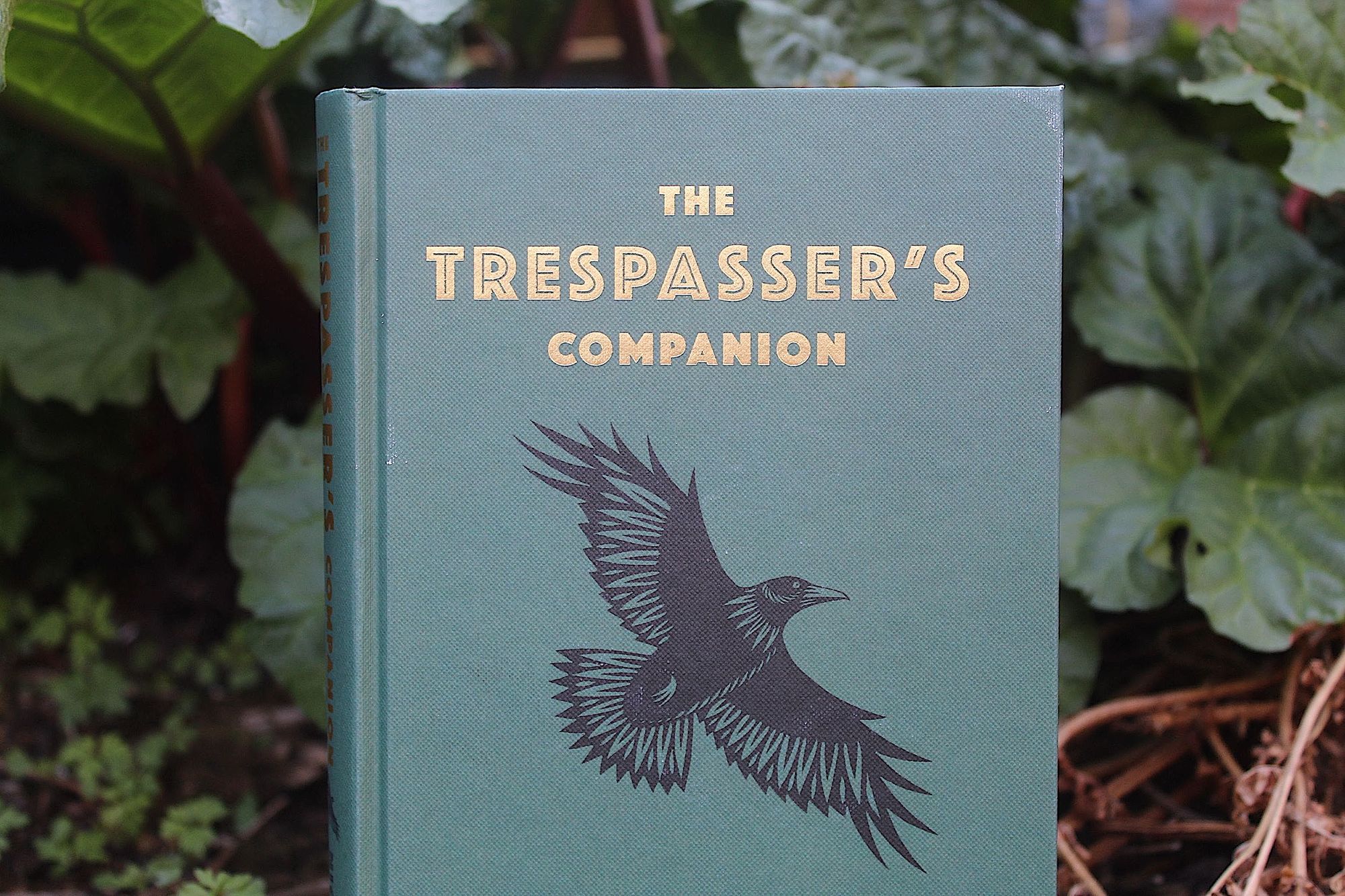 trespasser's companion