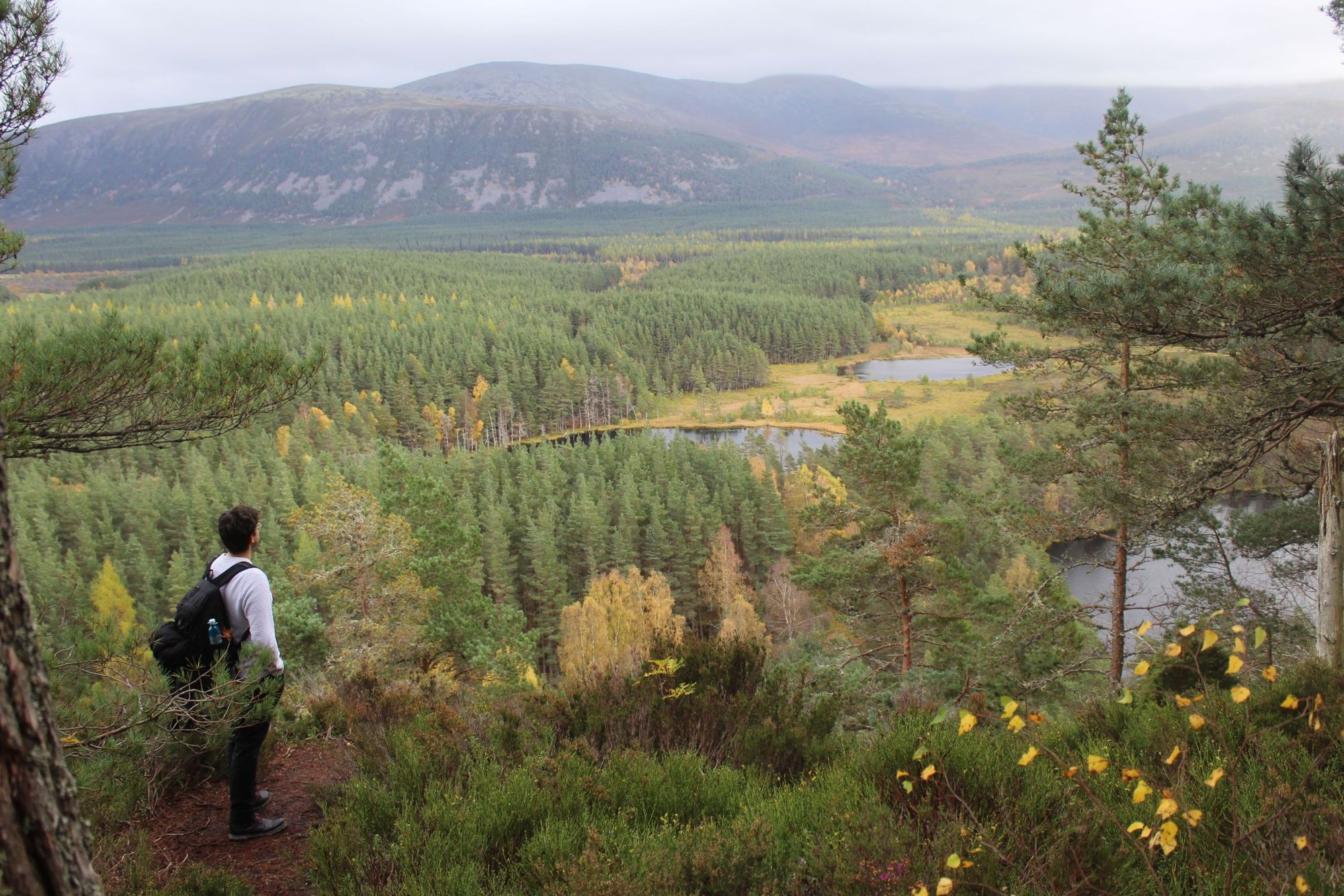 A hiker looks out over Ouath Lochans, in the Cairngorms
