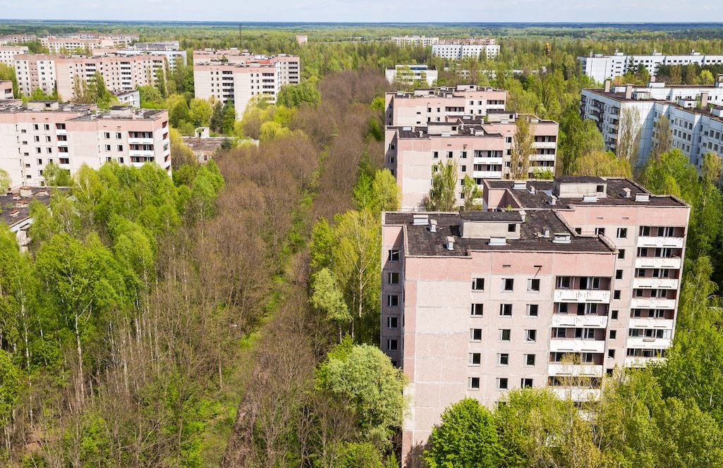 Trees growing up around apartment blocks in Chernobyl