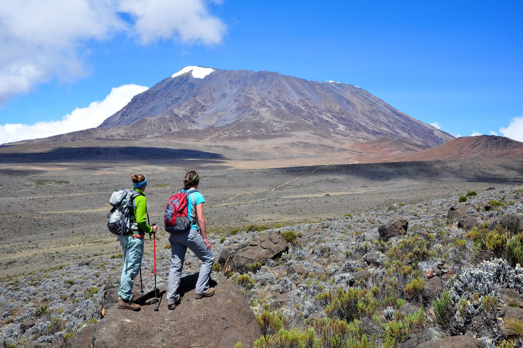 Hikers gazing at the summit of Kilimanjaro